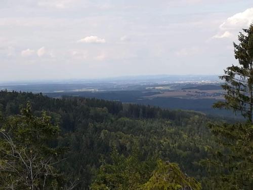 a view from the top of a hill with trees at Novohradské hory - pronájem na samotě u lesa in Benešov nad Černou
