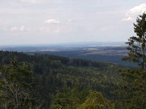 a view from the top of a hill with trees at Novohradské hory - pronájem na samotě u lesa in Benešov nad Černou