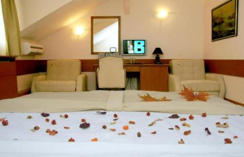 TV a/nebo společenská místnost v ubytování Hotel Tomce Sofka