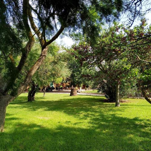 a park with green grass and trees in it at Petit Hotel Es Figueral in Campos