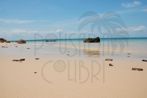 a view of a beach with a palm tree in the distance at Pousada Colibri in Morro de São Paulo