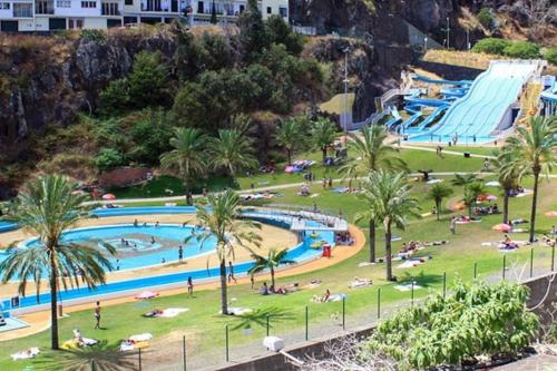a view of a pool at a resort at The Artist Villa in Santa Cruz