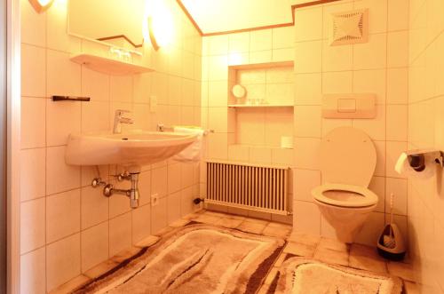 ein Bad mit einem Waschbecken und einem WC in der Unterkunft Haus Magdalena in Abtenau
