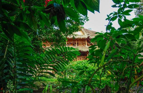 a building in the middle of a lush green forest at Hostal Pakay in Tena