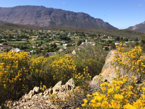 a town in the mountains with yellow flowers at The Cottage 39 Steyn in Barrydale