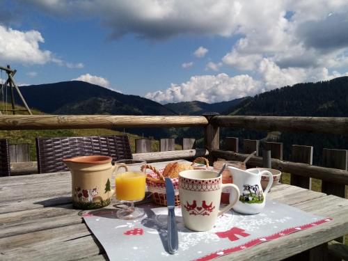 Gallery image of Le Mègevan chalet d'Alpage à 1550m in La Giettaz