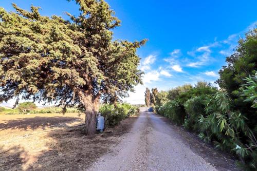 a tree on the side of a dirt road at Luca's Rooms in Valledoria