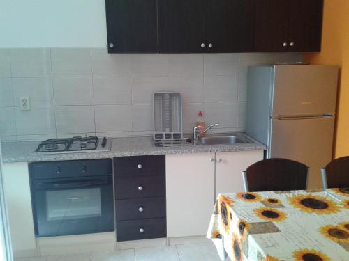 eine Küche mit einer Spüle, einem Herd und einem Kühlschrank in der Unterkunft Sea view apartman Antonio in Zadar