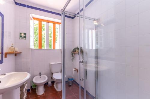 a bathroom with a toilet and a sink and a shower at Wine Inn Villa in Sintra