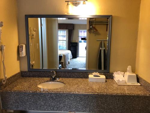 傑克孫維的住宿－艾默生汽車旅館- 傑克遜維爾，浴室的柜台设有水槽和镜子
