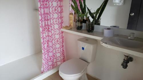 uma casa de banho com uma cortina de chuveiro rosa e um WC. em El Recreo Hogar Campesino em Icononzo