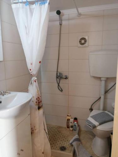 a bathroom with a shower and a sink and a toilet at Rodomelo Cute Studio 1 in Leonidio