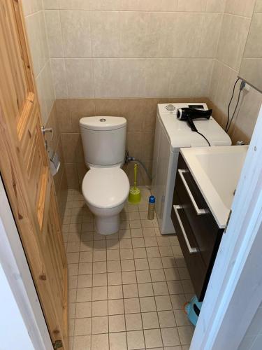 a small bathroom with a toilet and a sink at VITA Ruokolahti 1-2 in Ruokolahti