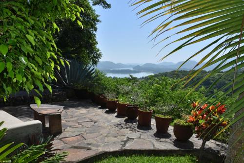 a row of potted plants sitting on a patio at The Mayan Grouper in Suchitoto