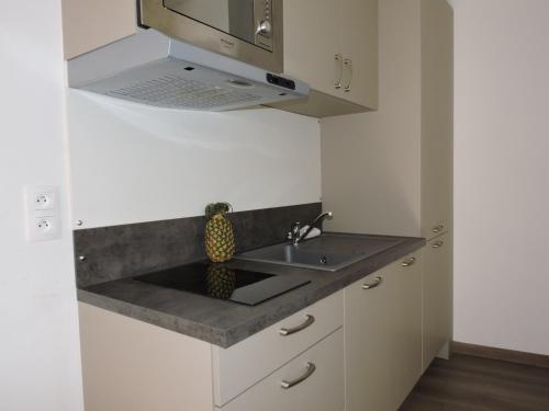 une cuisine avec un évier et un micro-ondes dans l'établissement Studio 7 Promenade des Anglais, à Nice