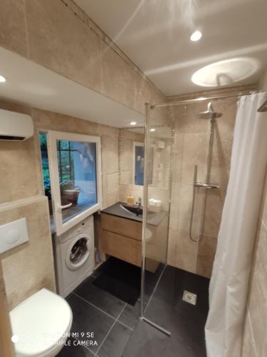 a bathroom with a shower and a toilet and a sink at Chez Rosine in Saint-Sauveur-sur-Tinée