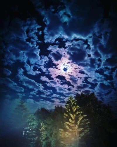 a painting of a cloudy sky with palm trees at Dreams Apartments - Katelios,Santa Barbara beach in Katelios