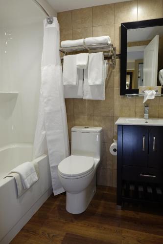 a bathroom with a toilet and a tub and a sink at Chateau Louis Hotel & Conference Centre in Edmonton