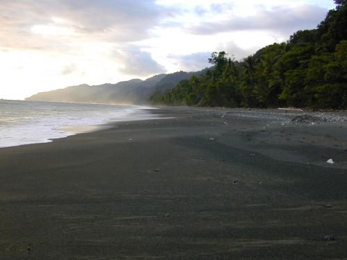 a beach with black sand and trees and the ocean at Luna Lodge in Carate