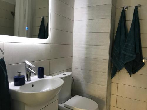 a bathroom with a sink and a toilet and a mirror at Luxury Westpark 2 Presidentialsuite with Lake View W4 in Bucharest