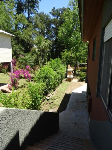 Taman di luar Gaia Hostal