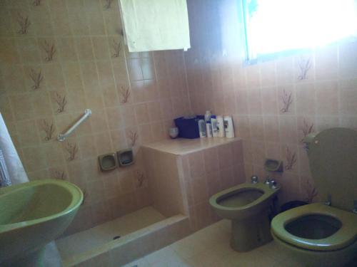 a bathroom with a green toilet and a sink at Gaia Hostal in Tigre