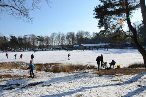 a group of people playing in the snow at 't Vosseven vakantiehuizen in Stramproy