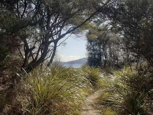 a path in a field with trees and grass at Cosy Cottage Thermal Holiday Park in Rotorua