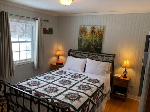 1 dormitorio con 1 cama y una pintura en la pared en Best View Wonderland - Cozy Cabin on Pond in Deer Park, en Salmonier Nature Park