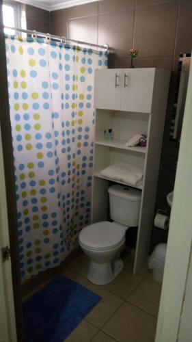 a bathroom with a toilet and a shower curtain at Hostal Los Castaños in Viña del Mar