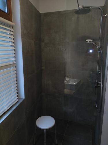 a bathroom with a shower with a toilet and a sink at Charming Suites Jan Zonder Vrees in Antwerp