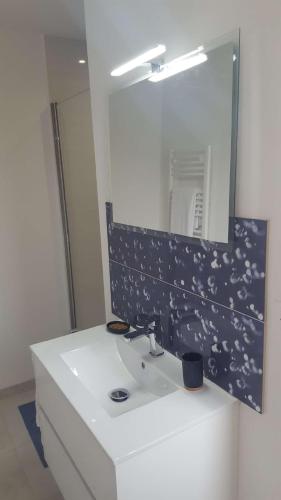 a bathroom with a white sink and a mirror at Les Gabions in Chaingy