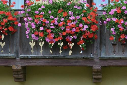 a bunch of flowers hanging from a wooden fence at Müllnerbauer in Penk