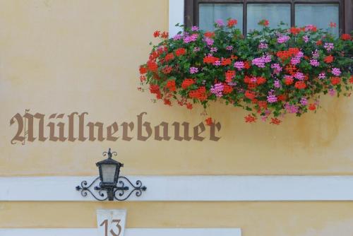 a window box with flowers on the side of a building at Müllnerbauer in Penk