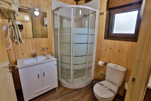 a bathroom with a shower and a toilet and a sink at Complejo Residencial Los Enebros in Arroyo Frio