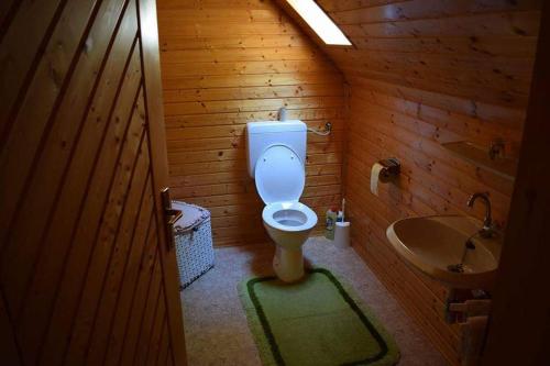a bathroom with a toilet and a sink at Ferienhaus Kreiner in Sankt Kathrein am Offenegg