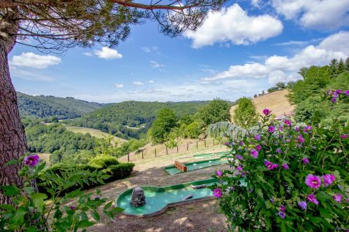 a view of a pool in a garden with flowers at La Ferme du Cayla in Linac