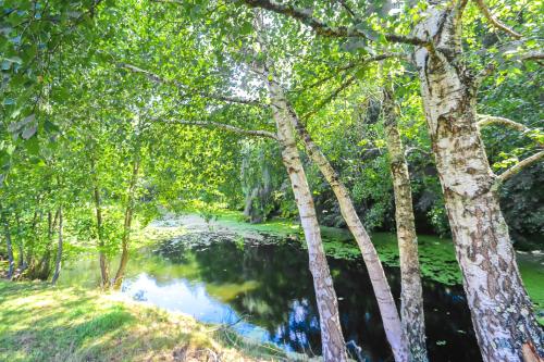 a pond in the middle of a forest with trees at La Ferme du Cayla in Linac