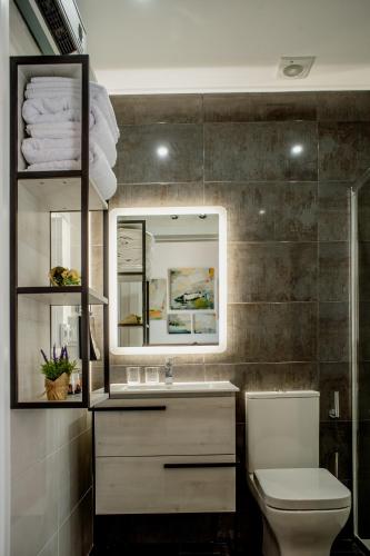 a bathroom with a white toilet and a mirror at Apartamentos Turisticos Moret 11 - 2A in Cáceres