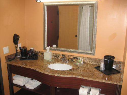 a bathroom counter with a sink and a mirror at Country Inn & Suites by Radisson, Dearborn, MI in Dearborn