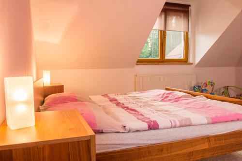 a bedroom with a bed and a table and a window at Rodinný apartmán Rodvínov in Rodvínov