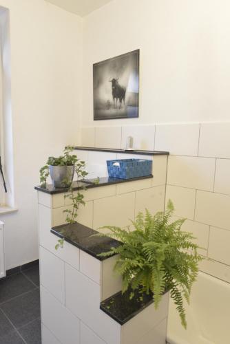 a room with white tiled walls and shelves with plants at Kaiserliche Hofpost, mit Whirlpool und 2 Terrassen in Schleiden