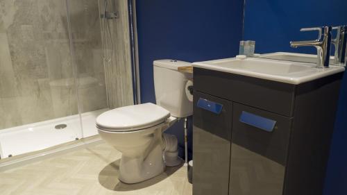 a bathroom with a toilet and a sink and a shower at Hill Of Oaks in Windermere
