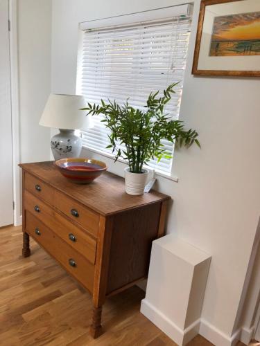 a wooden dresser with a plant on top of it at The Little Barn - Self Catering Holiday Accommodation in Hindhead