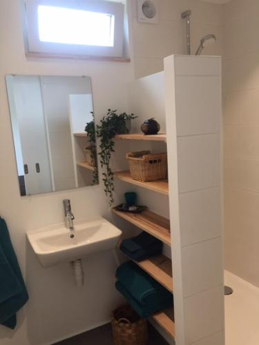 a bathroom with a sink and a mirror at Le Buis in Genval