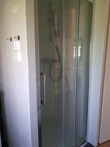 a shower with a glass door in a bathroom at De Bijsselse Enk, Noors chalet 2 in Nunspeet