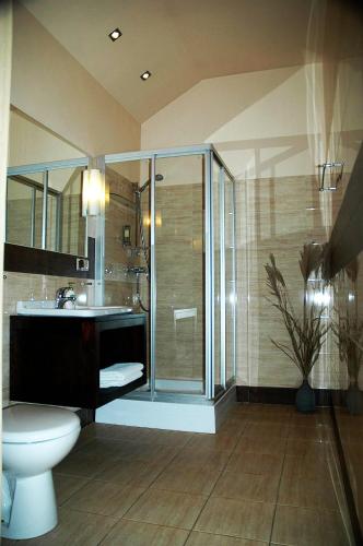 a bathroom with a shower and a toilet and a sink at BedRooms 3 Maja 15A in Łódź