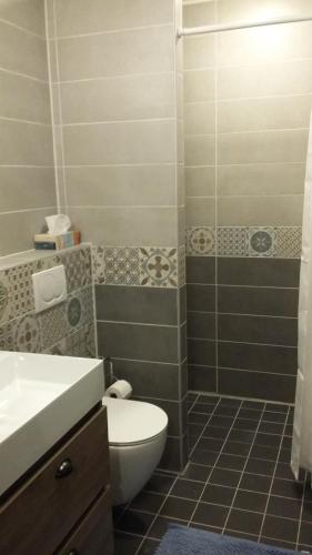 a bathroom with a toilet and a sink at B&B d'n Uilenhof Haren in Haren