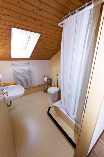 a bathroom with a toilet and a sink and a window at Hotel Grünes Paradies- Garni in Hochwaldhausen