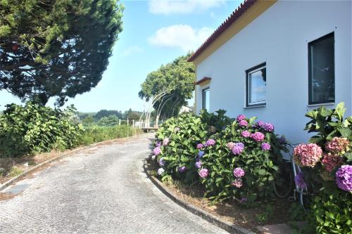 a house with flowers on the side of a road at Vagos Art.Lab in Vagos